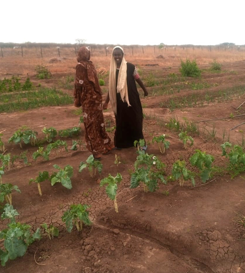 Water Warriors, vegetable gardens