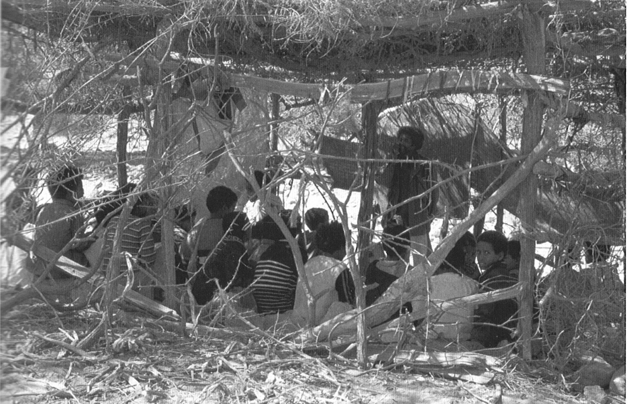 Teame Mebrahtu Zero School (camouflaging from the soldiers under the branches)