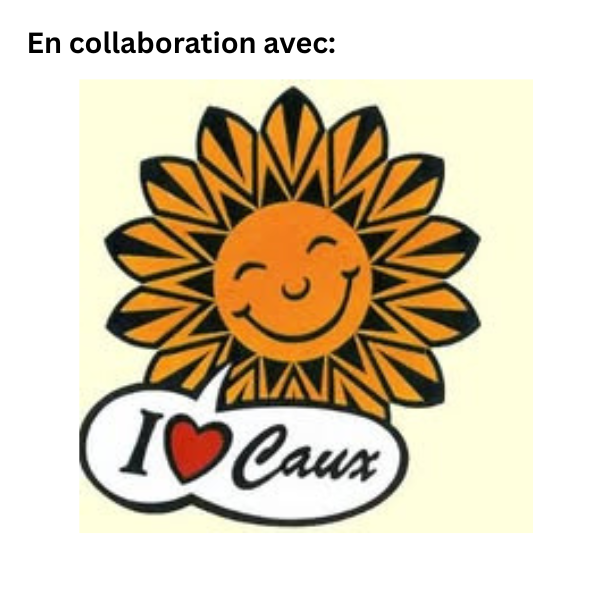 Logo SDC partner FR
