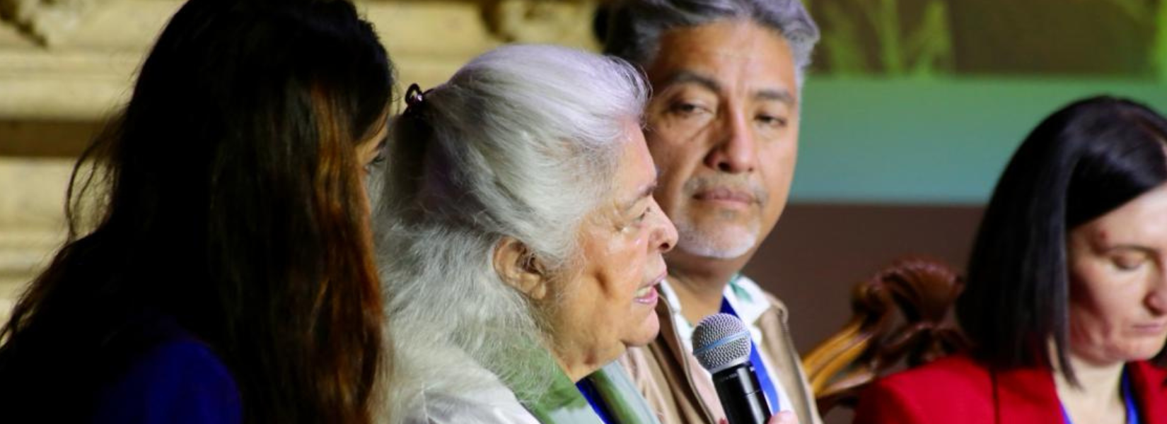 Caux Democracy Forum CDF banner event pics Caux Forum