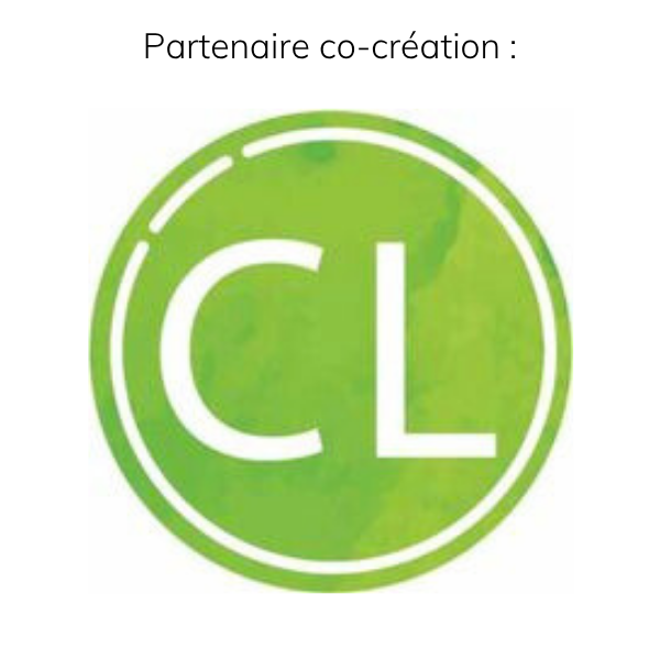 Co-creating Partners Creative Leadership FR