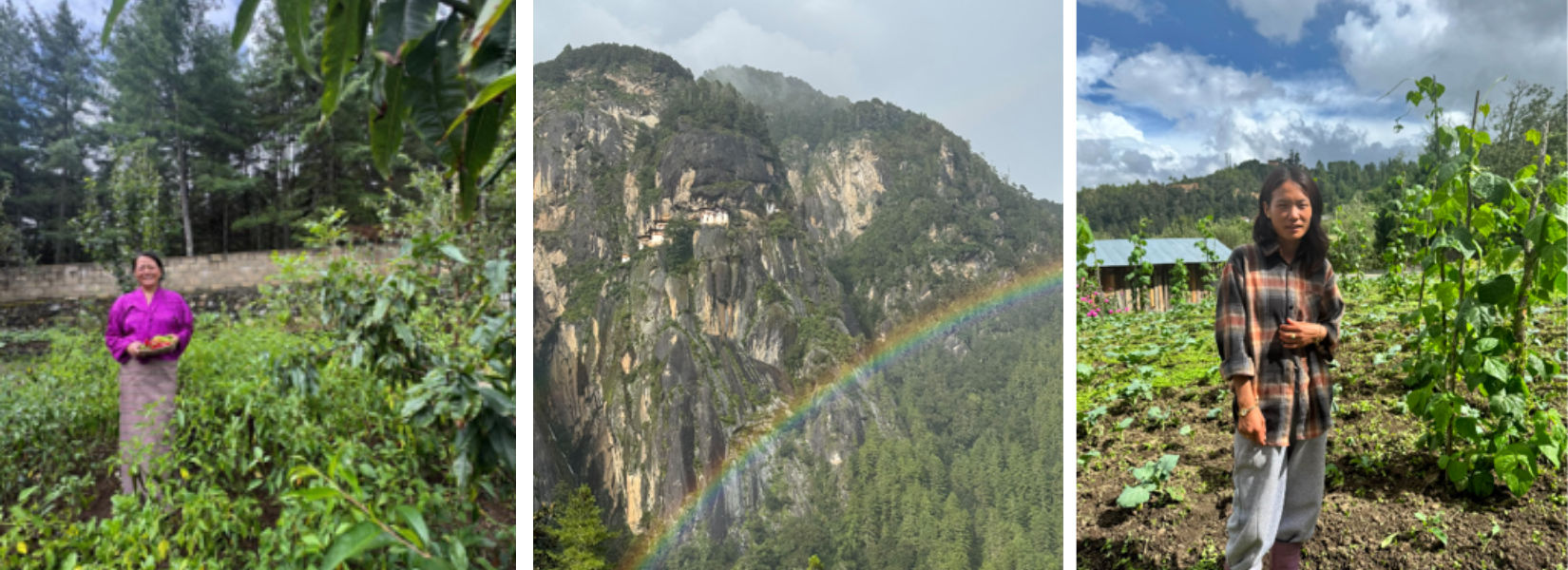 Global Conscious Food Summit Bhutan 2026