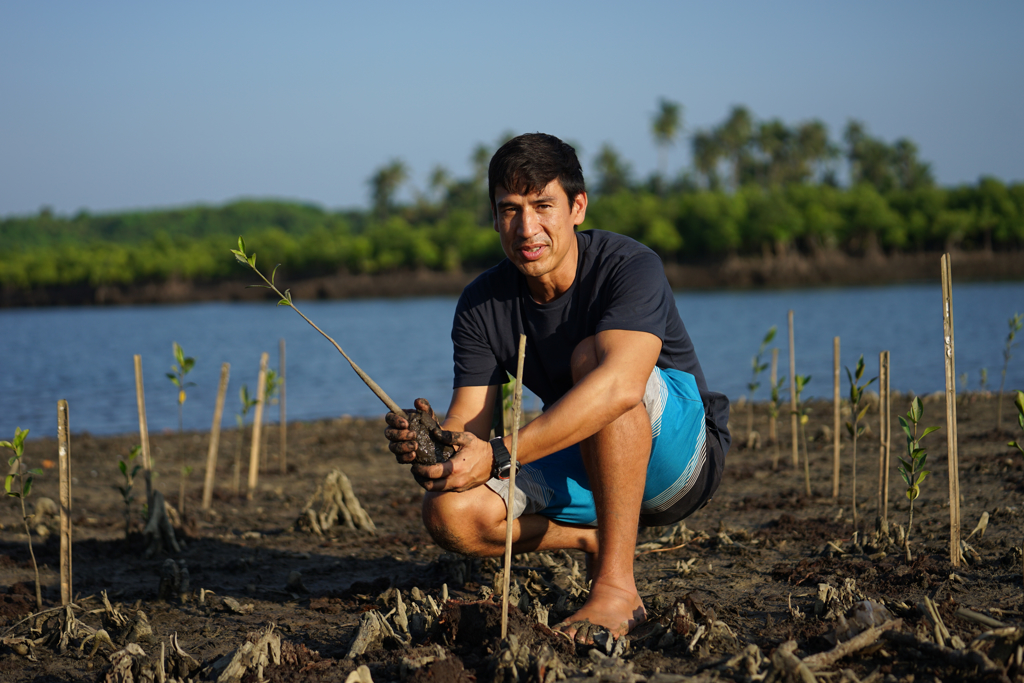 Alan Laubsch Trees in Myanmar