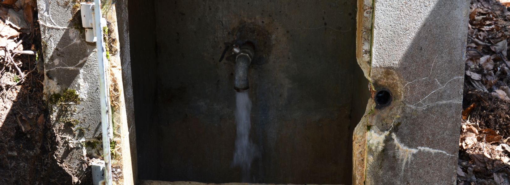 Caux Palace - water source