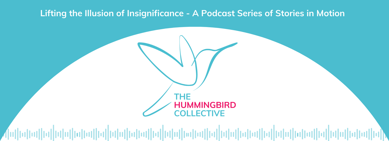 Hummingbird banner website EN