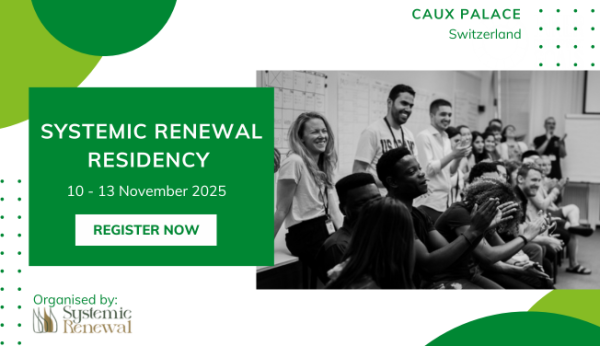 Systemic Renewal Residency 2025 rect EN