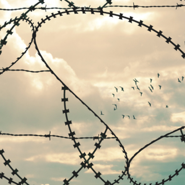 Reconciliation, birds flying, wire fence