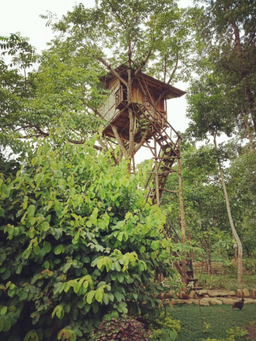 Visier Sanyu tree house