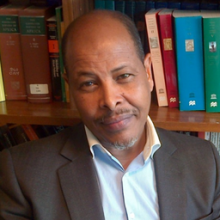 Professor Ali Moussa Iye
