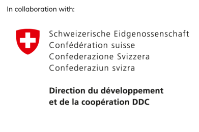 Logo DDC FDFA