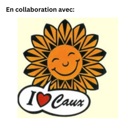 Logo SDC partner FR